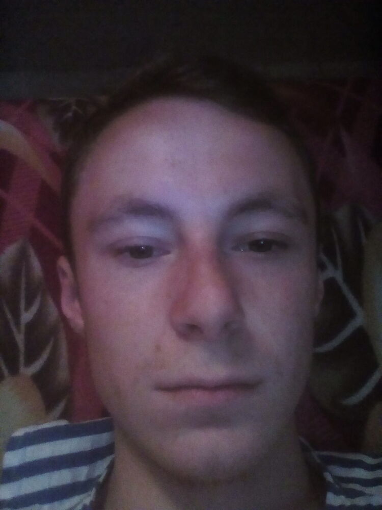 ���� 9115445 ������� Dante5130, 29 ���, ���� ���������� � �����