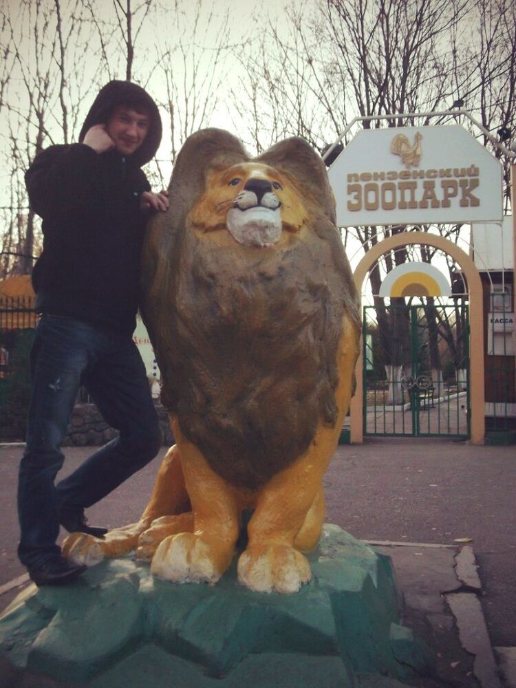 ���������� �����, ���� ������� ���������, 38 ���, ������������ ��� ������, ����� � ���������, c�������� ���������