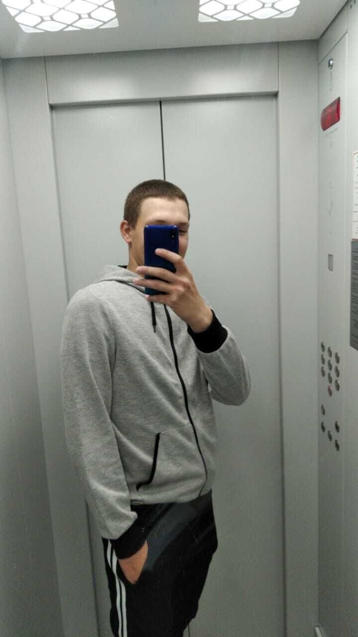  43531565  , 24 ,    