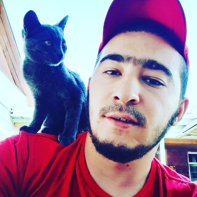 ���� 17352845 ������� �����, 31 ���, ���� ���������� � ������