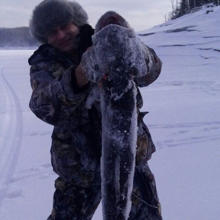 ���� 5544875 ������� �������, 44 ����, ���� ���������� � �������������