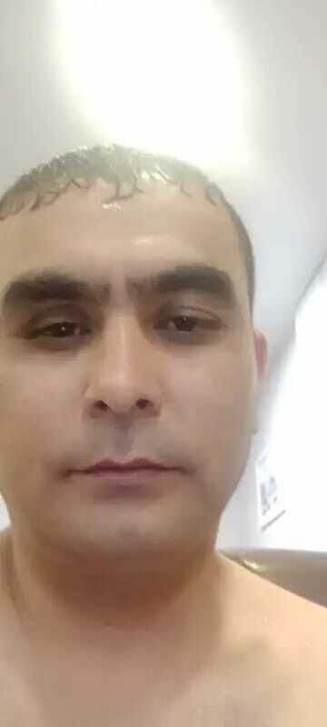  31144735  , 38 ,    