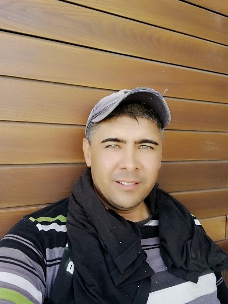  18317085  , 41 ,    