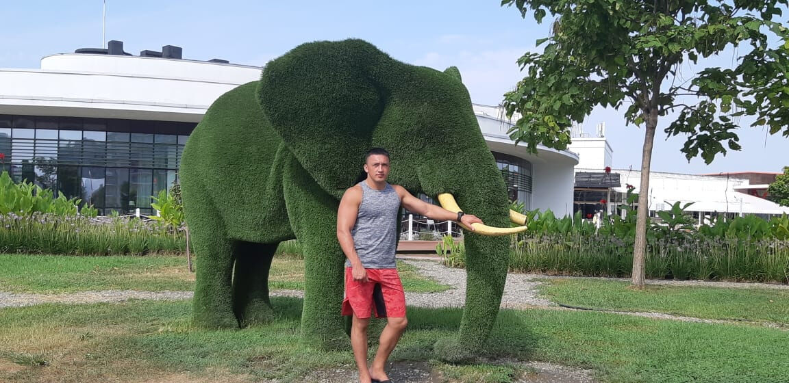  ,   , 27 ,   ,   , 