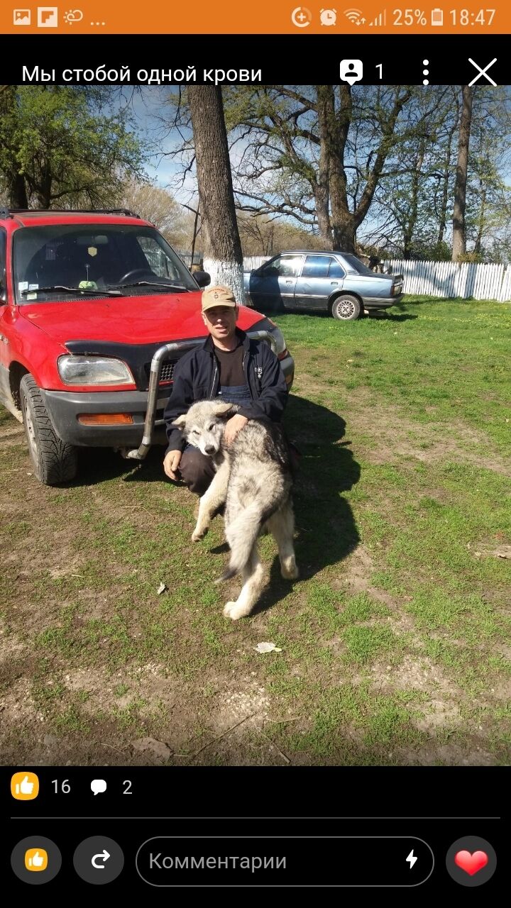  ,   Valeri, 57 ,     , c 