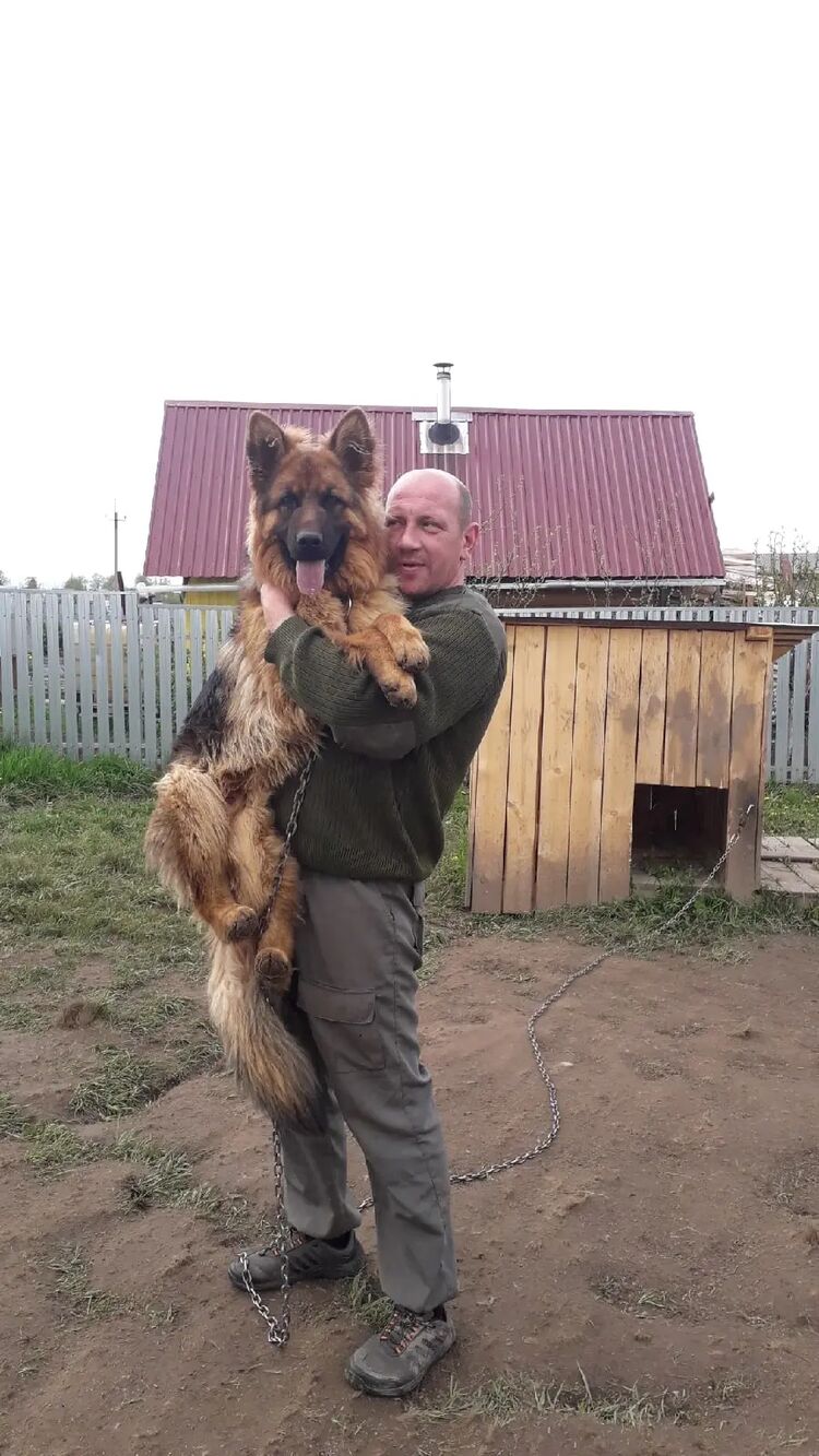  28060105  , 41 ,    -