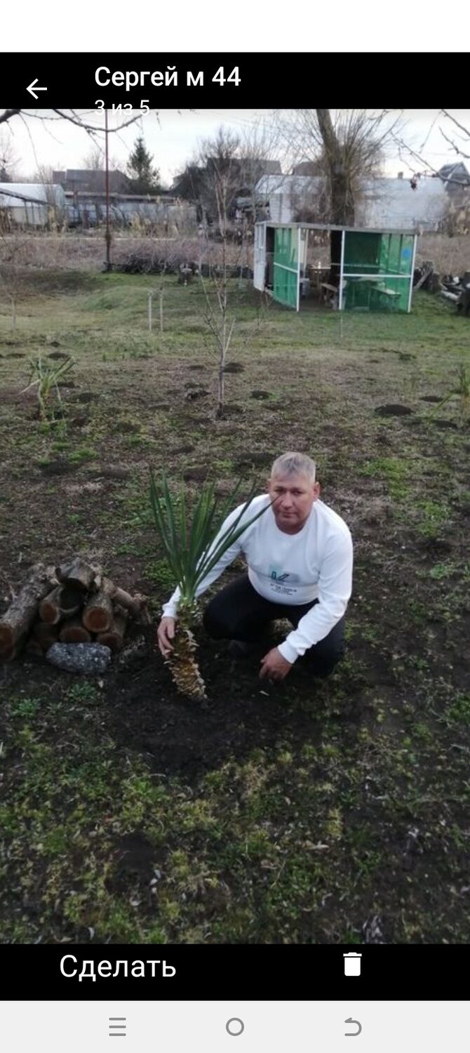  ,   Sergei, 44 ,   ,   