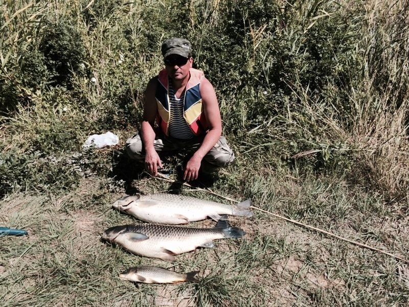 ���� 5374725 ������� ������, 57 ���, ���� ���������� � ������