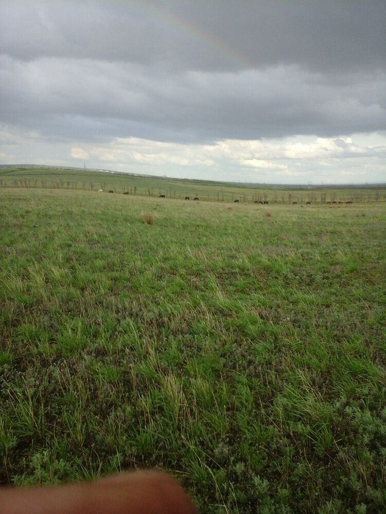  6144935  , 38 ,    
