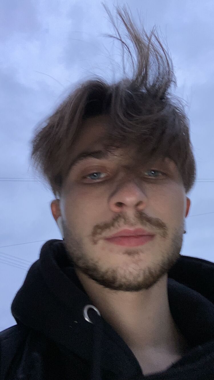  31933895  , 28 ,    -