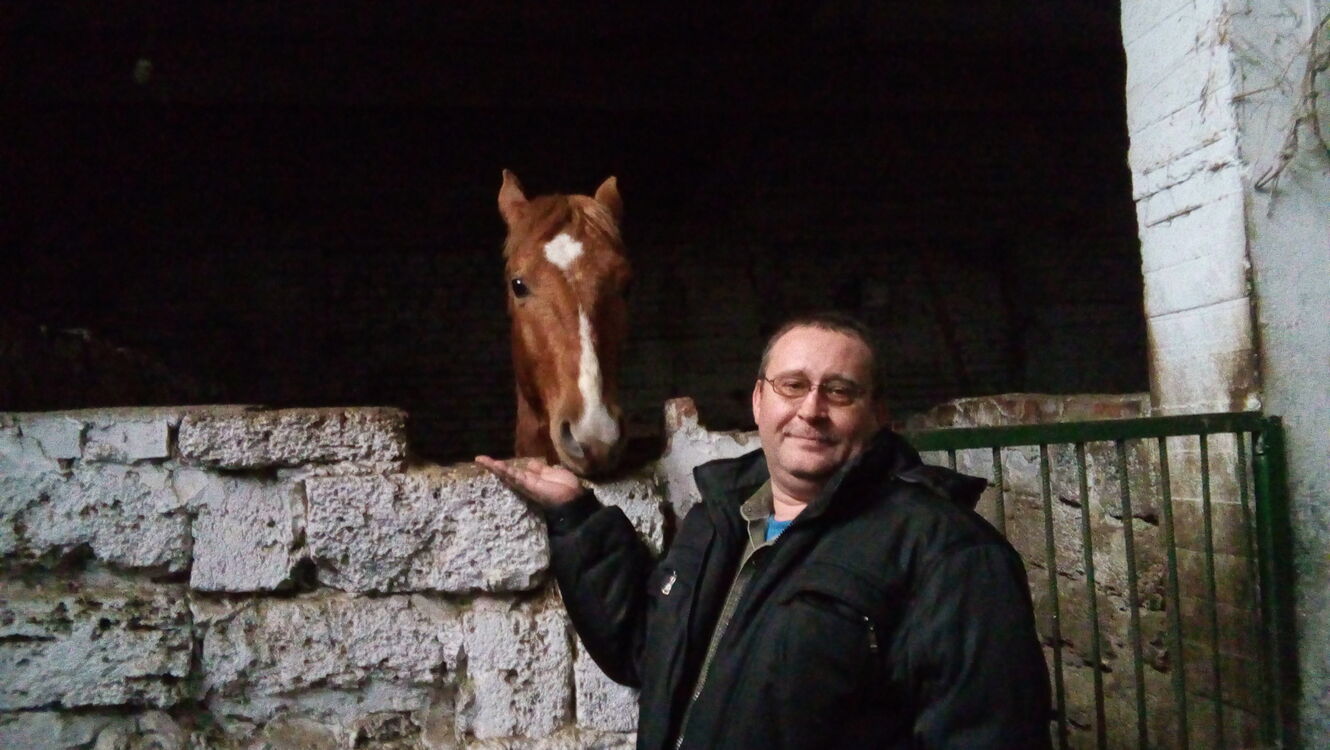  --,   , 56 ,   ,   