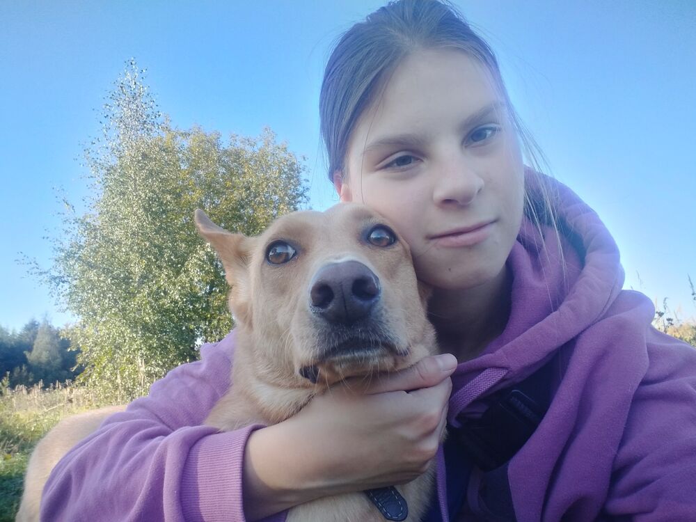 ���������� ���������, ���� ������� ����, 19 ���, ������������ ��� ������, ����� � ���������, c�������� ���������