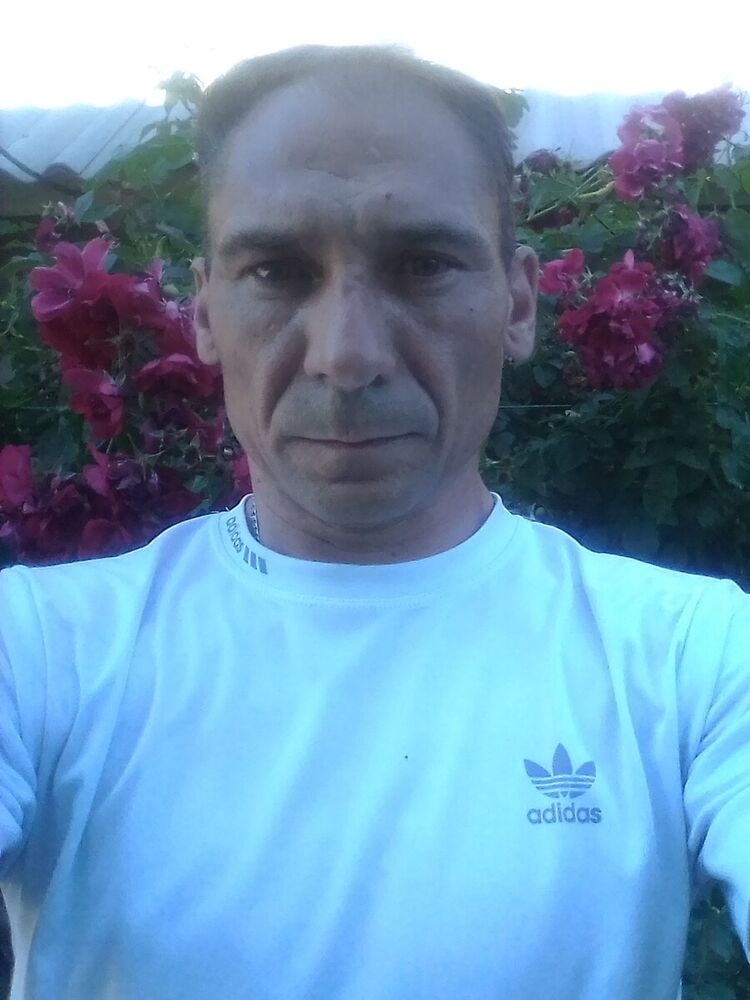  20467215  , 46 ,     