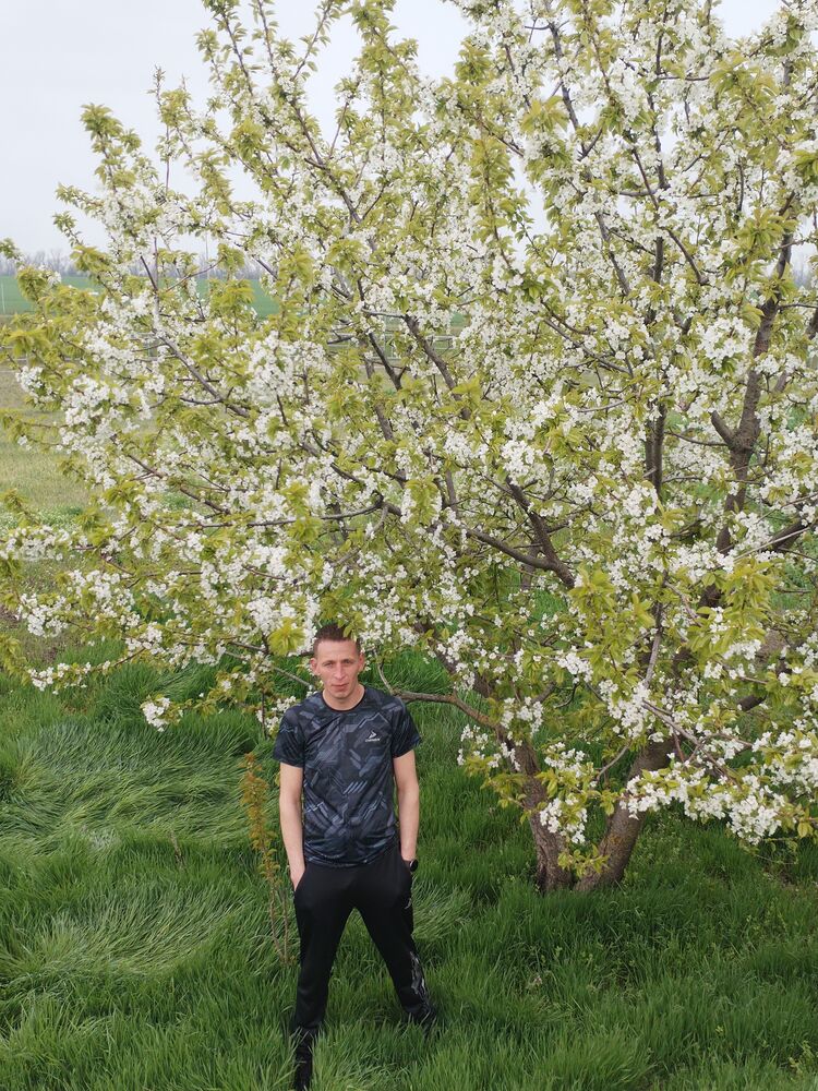 ���������� �����������, ���� ������� ��������, 31 ���, ������������ ��� ������, ����� � ���������, c�������� ���������, ���������