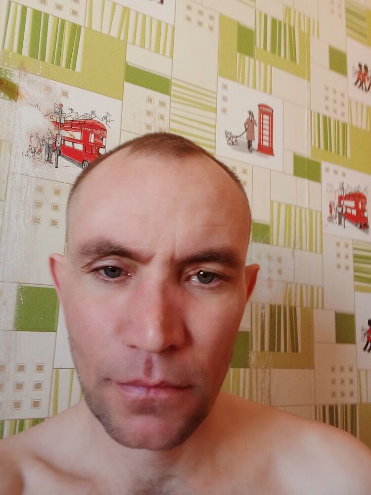  51293825  , 40 ,    