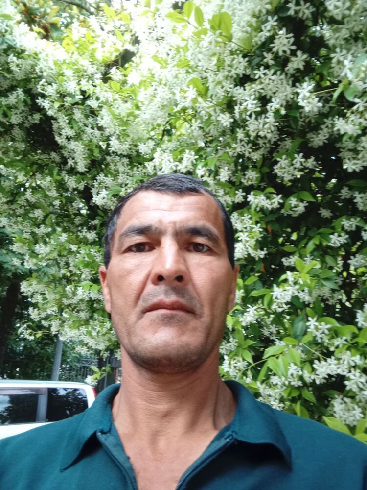 ���������� ���������, ���� ������� Samadovsiroz, 44 ����, ������������ ��� ������, ����� � ���������