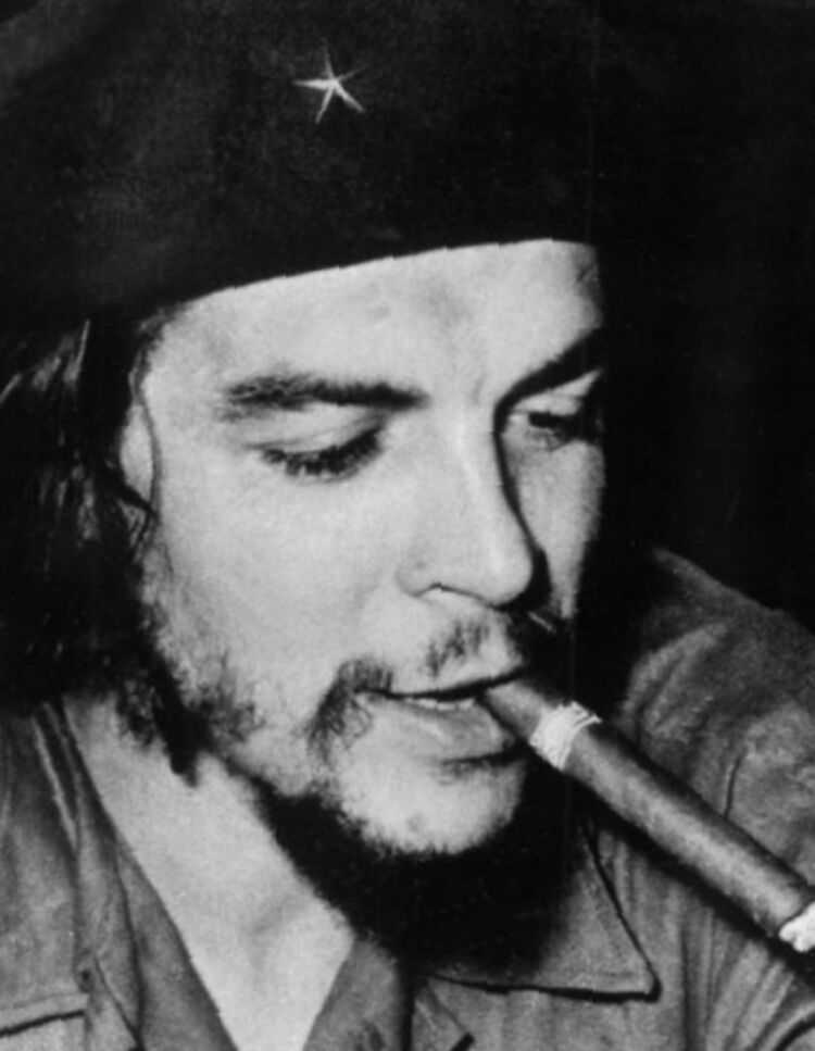 ���� 44983315 ������� �����, 101 ���, ���� ���������� � �������