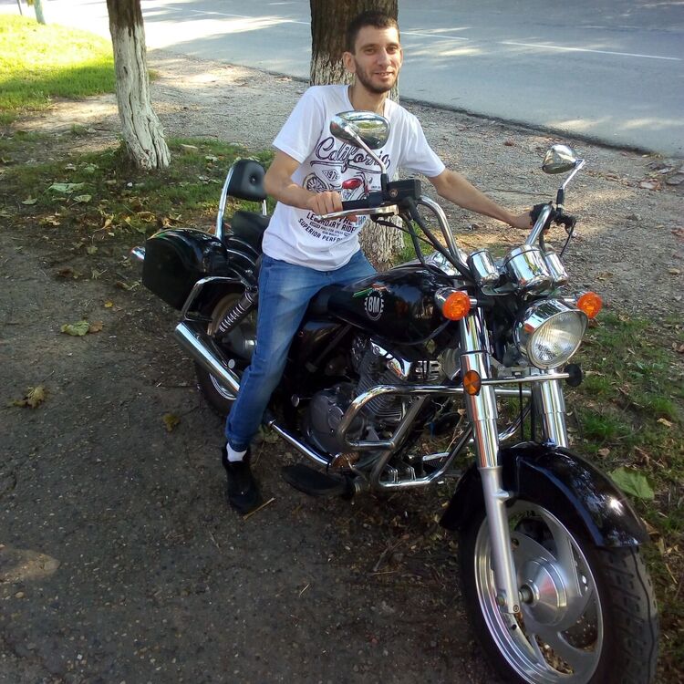  37611495  , 33 ,    