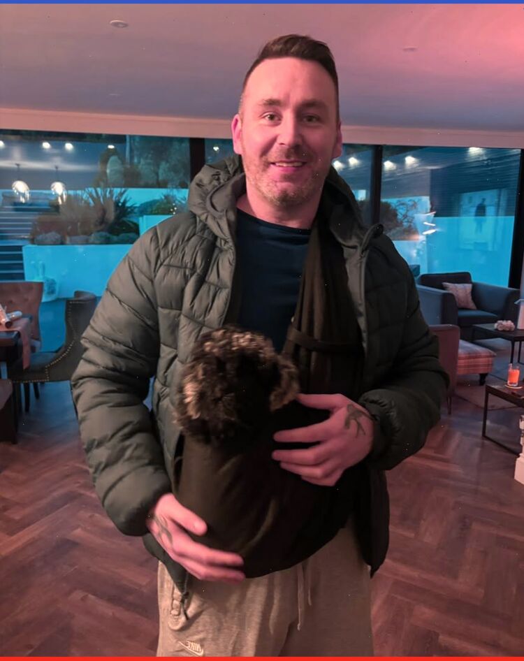 ���� 55255085 ������� �������, 40 ���, ���� ���������� � ��������