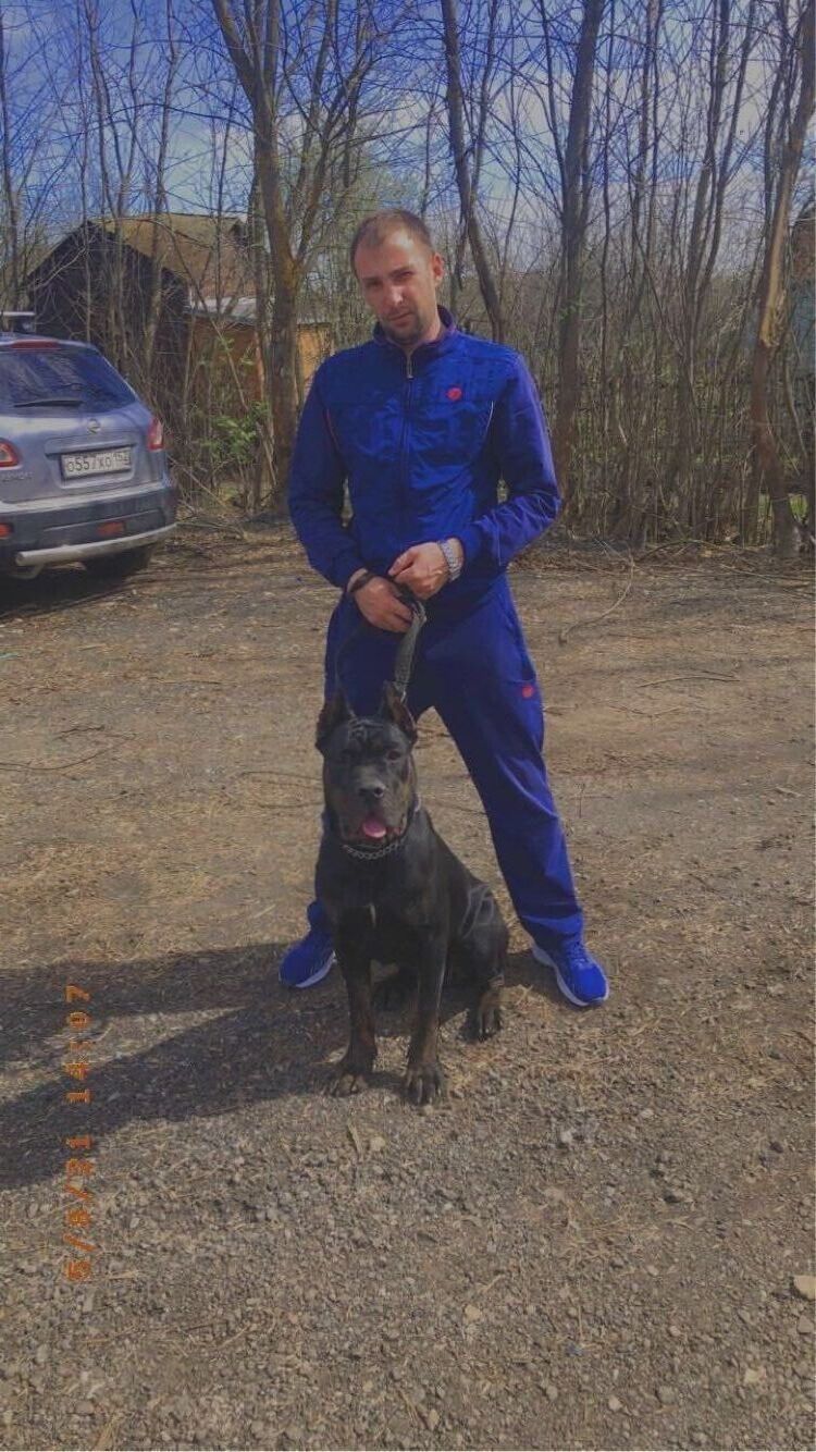 ���������� �������, ���� ������� �����, 41 ���, ������������ ��� ������, ����� � ���������