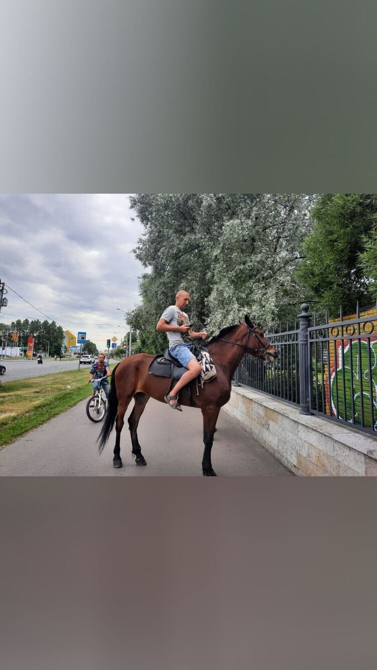 ���� 27740505 ������� �������, 51 ���, ���� ���������� � �����-����������