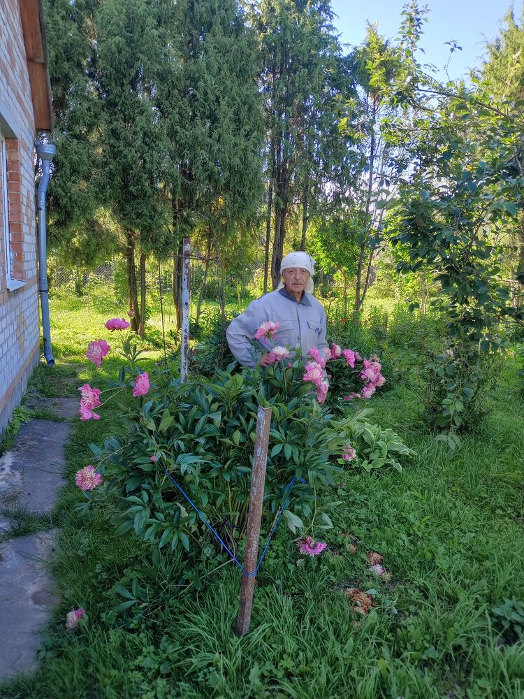 ���� 55905525 ������� �����, 68 ���, ���� ���������� � ������