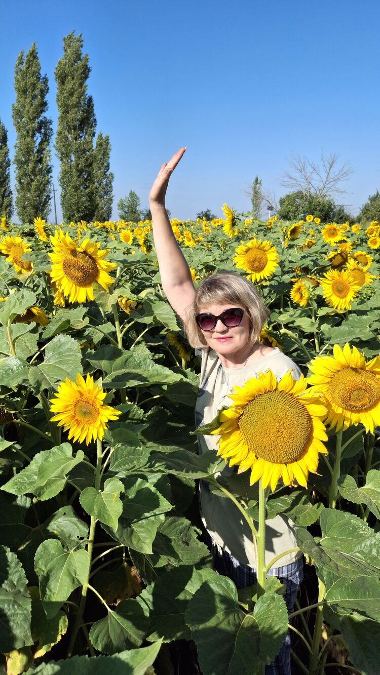 ���� 52841365 ������� �����, 57 ���, ���� ���������� � ��������