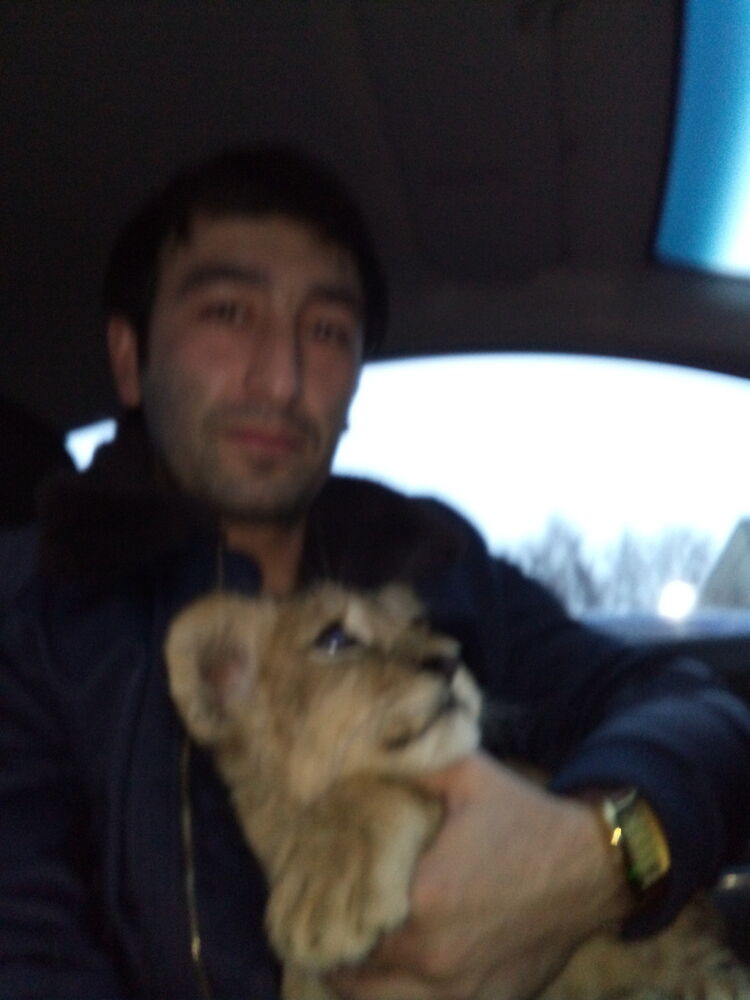  12033605  Alpacino, 37 ,    