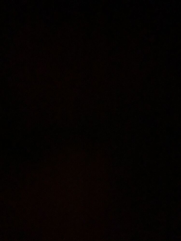  49804155  , 24 ,    --