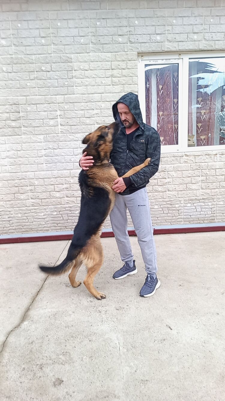 ,   , 47 ,   