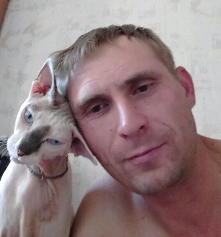 ���� 20730955 ������� �������, 40 ���, ���� ���������� � ��������