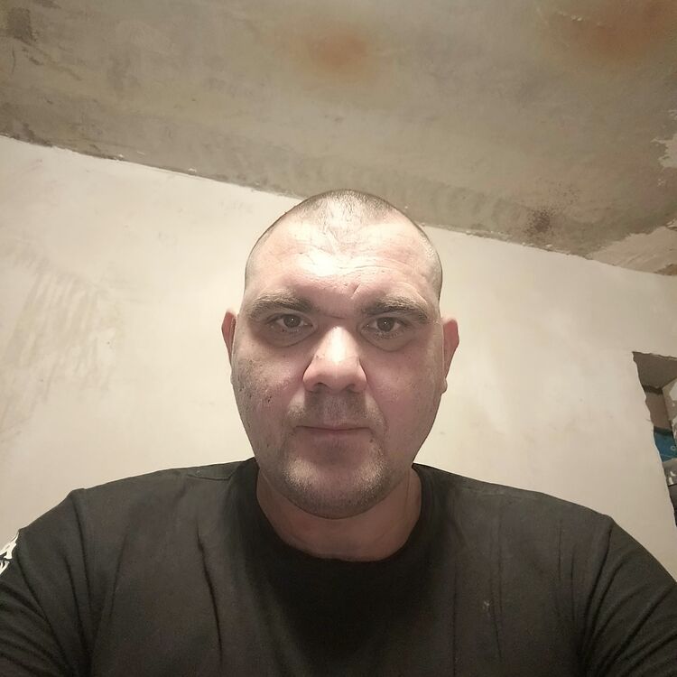 50235505  , 39 ,    --