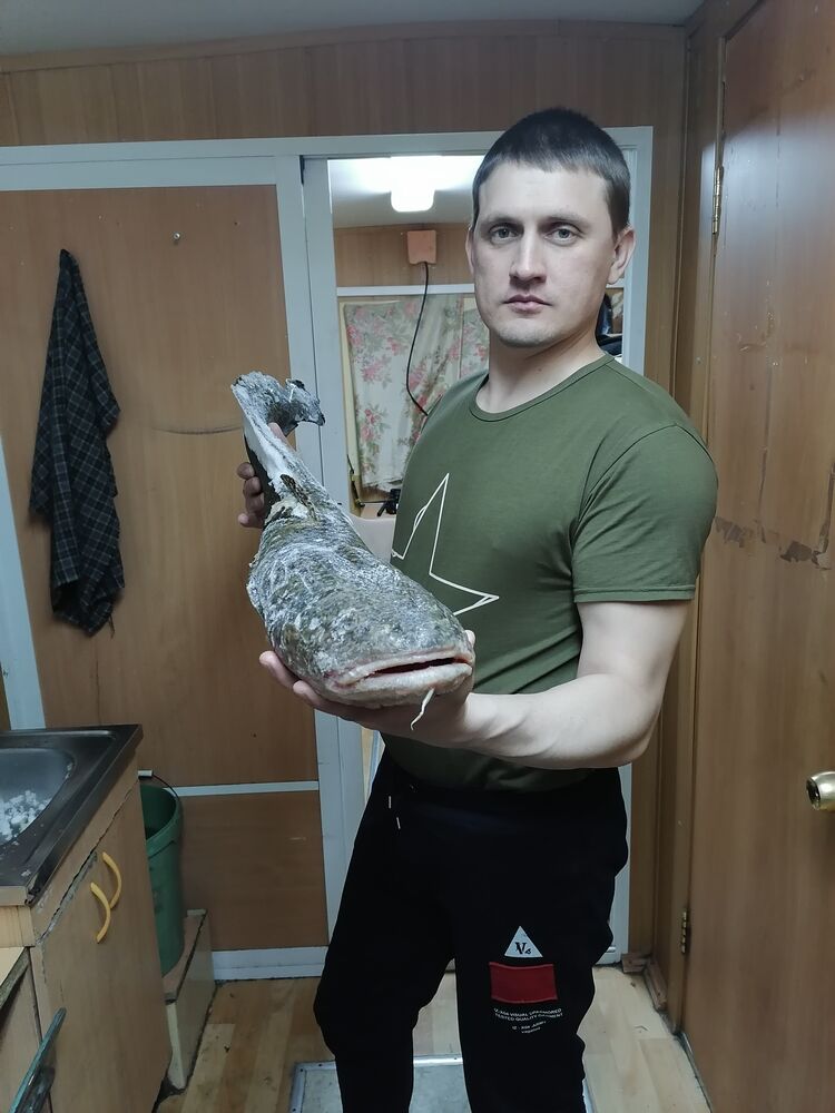  -,   , 36 ,   ,   