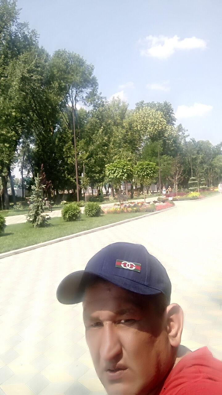  23622605  , 43 ,    