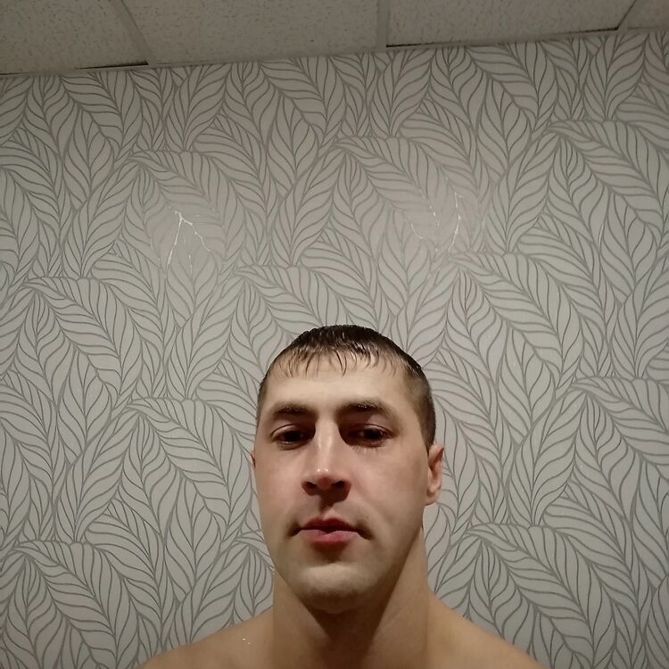  31139445  , 37 ,    