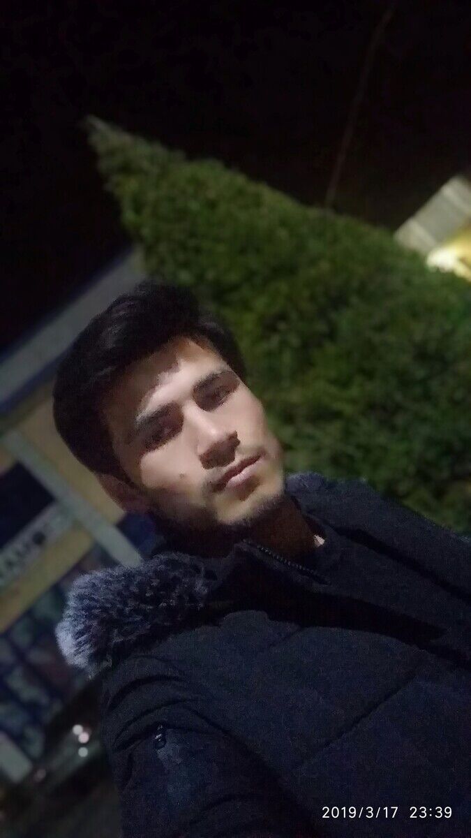  ,   DRAGON, 31 ,   ,   , c , 