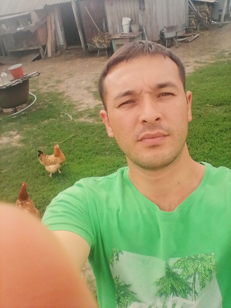  36110175  , 32 ,    
