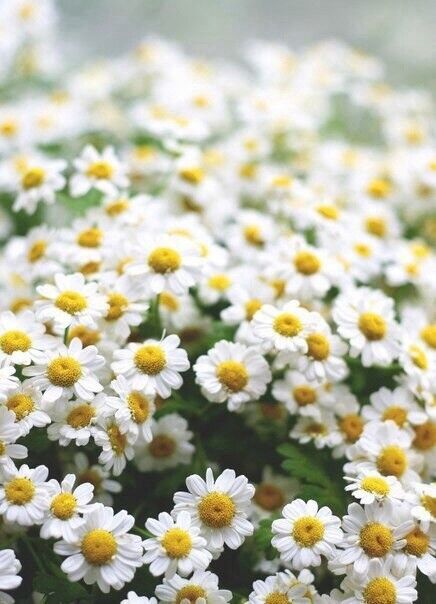 ���� 6502435 ������� ������, 28 ���, ���� ���������� � ��������