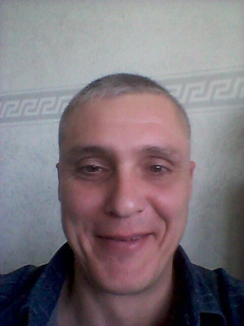  9566785  , 51 ,    