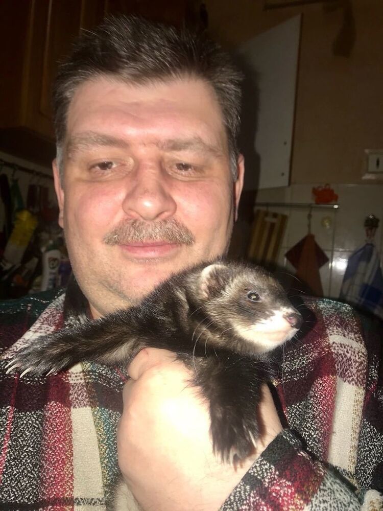 ���� 19838415 ������� �����, 50 ���, ���� ���������� � ������