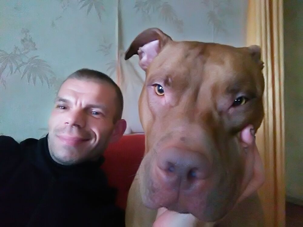 ���� 31068395 ������� �����, 35 ���, ���� ���������� � ���������