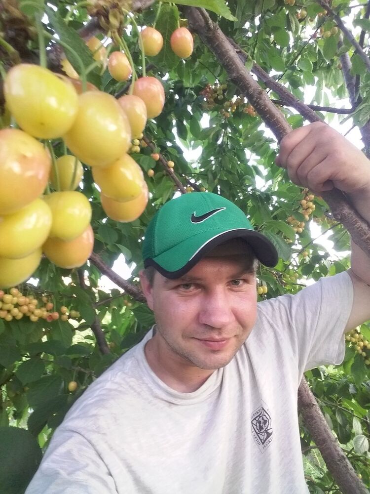 ���� 10450845 ������� ����, 40 ���, ���� ���������� � �����������