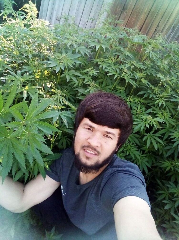 ���������� ��������, ���� ������� ����, 26 ���, ������������ ��� ������, ����� � ���������