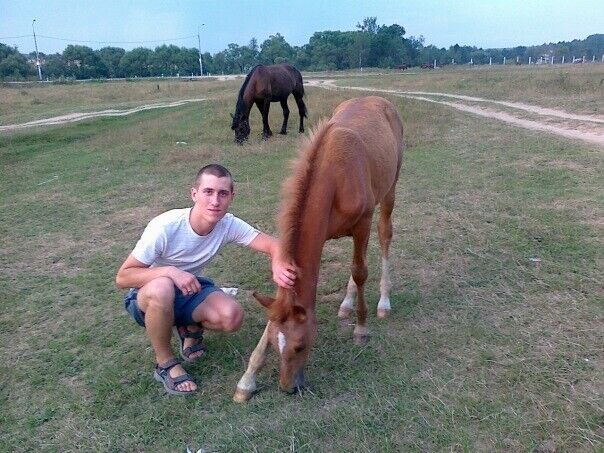 ���� 20704345 ������� �����, 35 ���, ���� ���������� � ���������