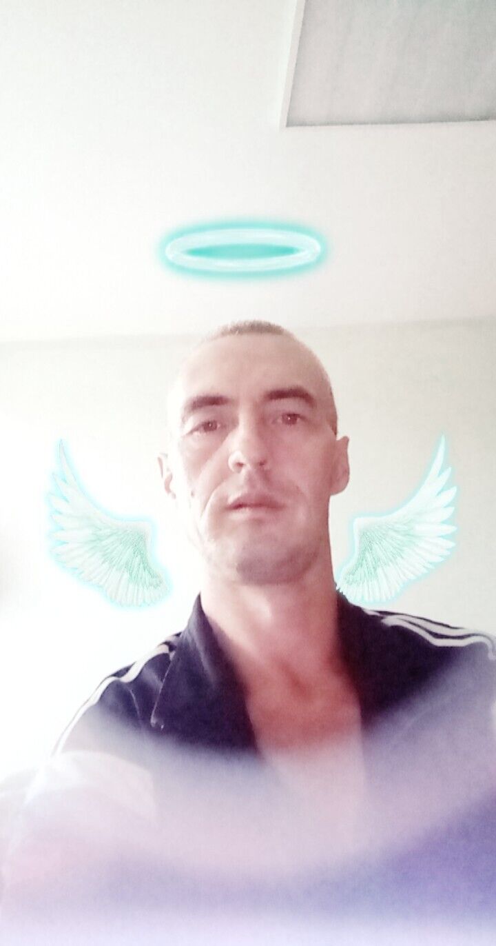  23732355  , 49 ,    