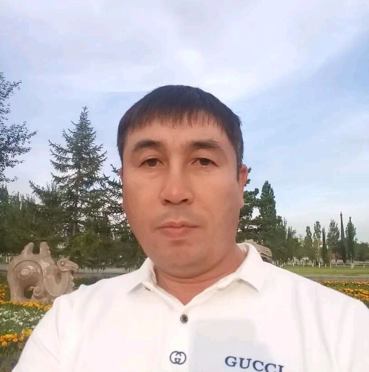  38399785  , 50 ,    