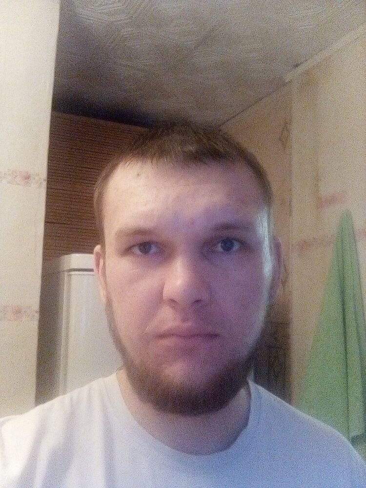  41576535  , 29 ,    