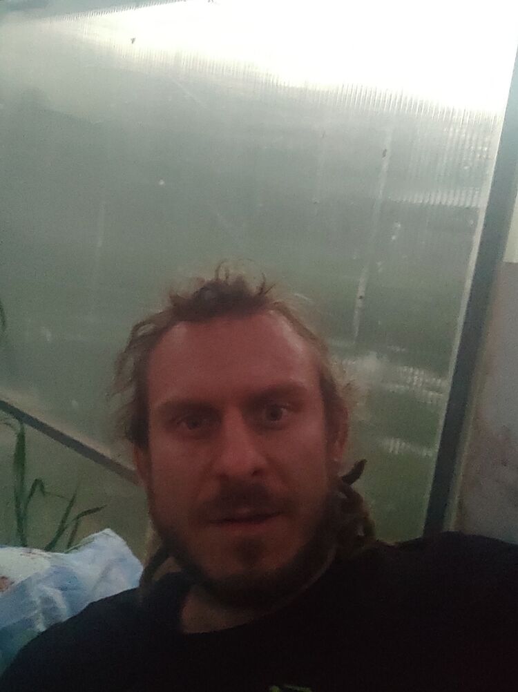 ���������� ������ ��������, ���� ������� �������, 40 ���, ������������ ��� ����� � ���������, c�������� ���������