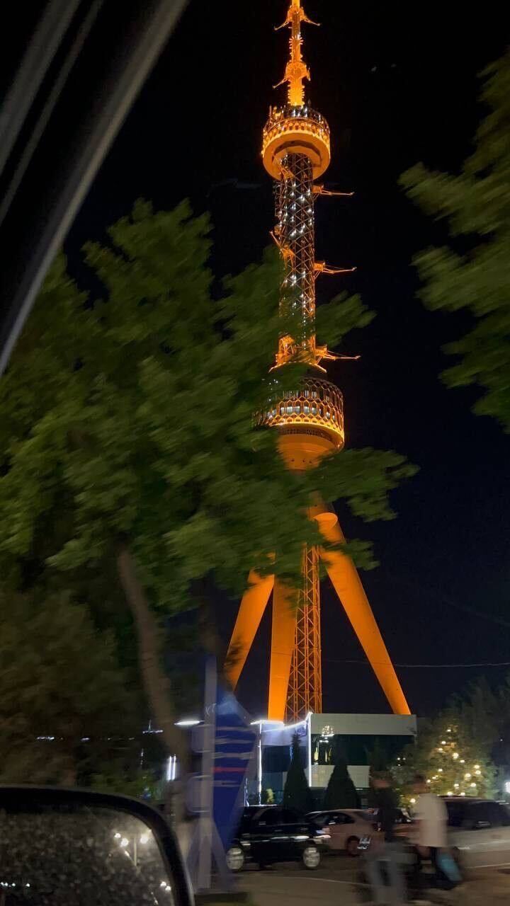  35161355  , 25 ,    