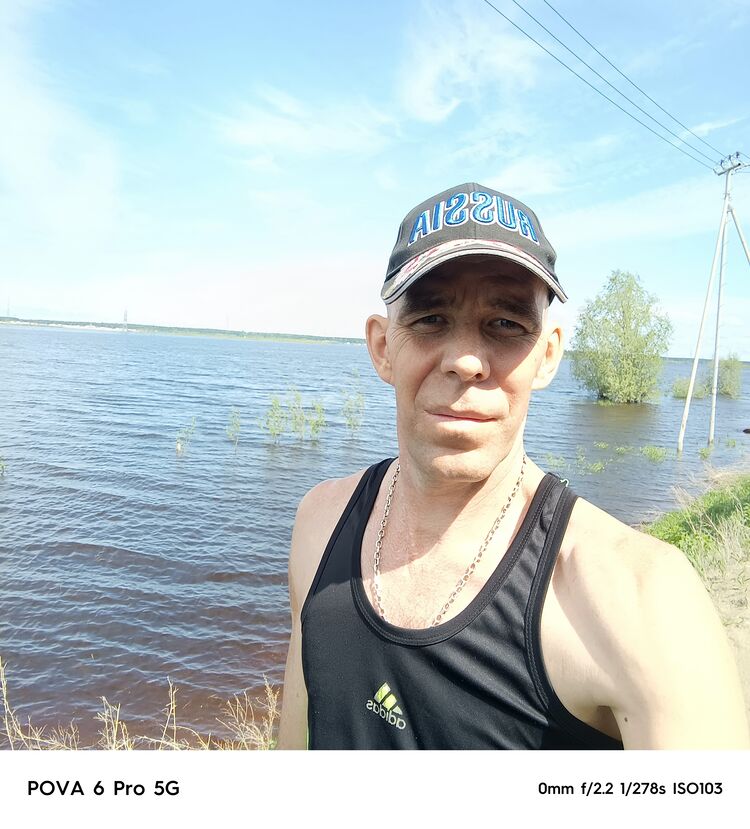  53046355  , 40 ,    